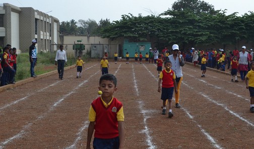 Annual Athletic Meet 2018-19